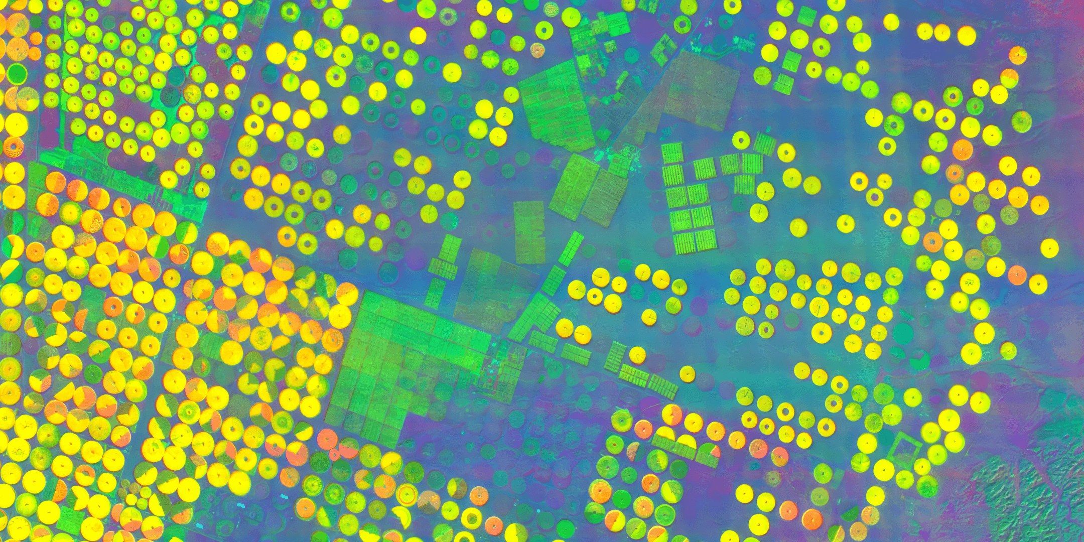 Centre-pivot fields, crop varieties in hyperspectral false colour