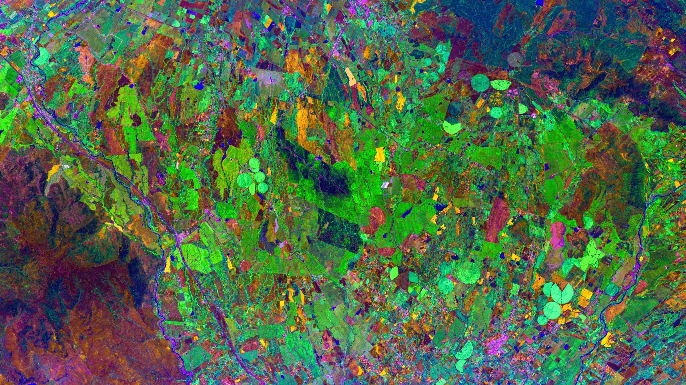 Field mosaic, hyperspectral composite