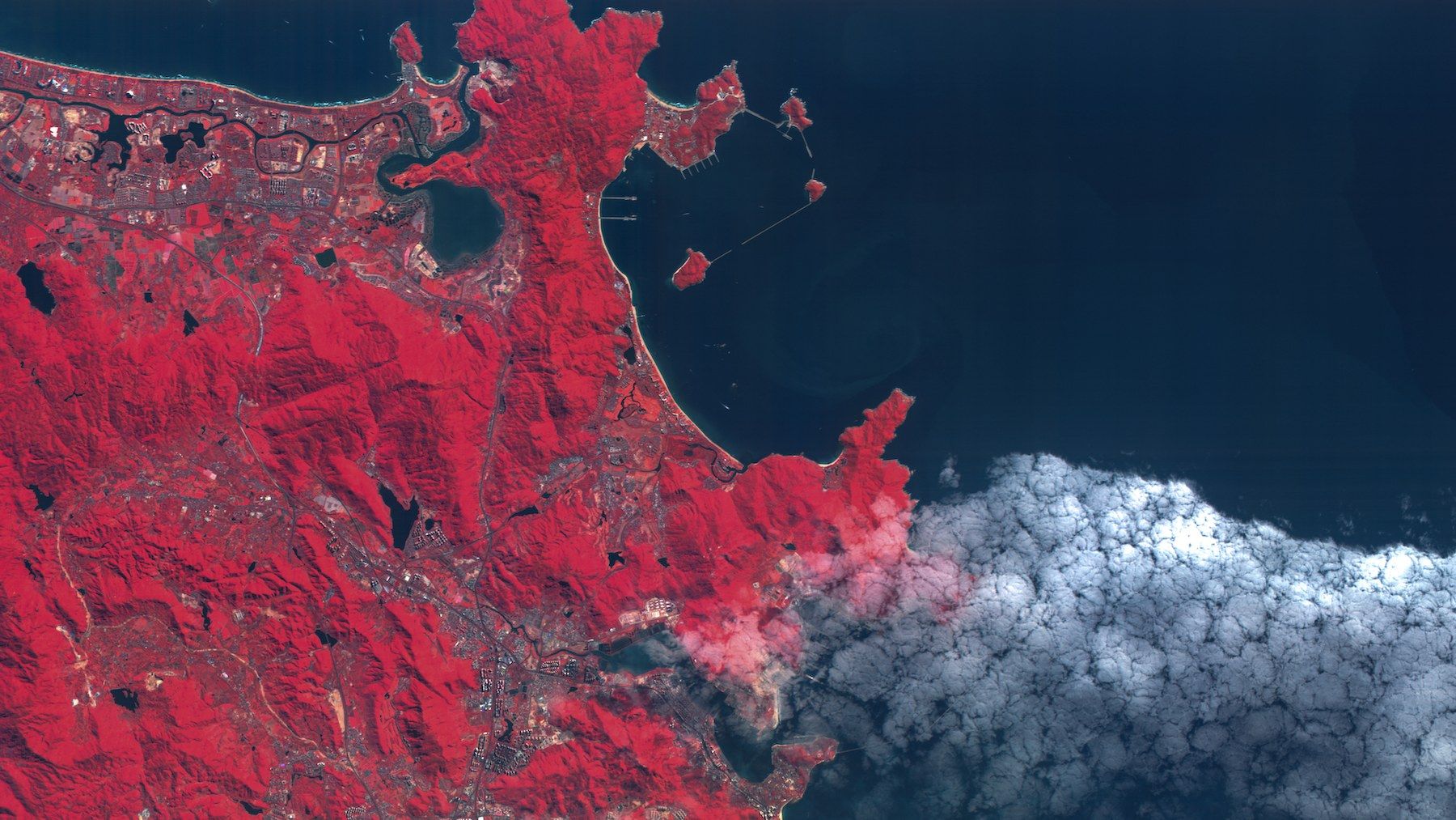 Coastal city and bay, near-infrared false colour
