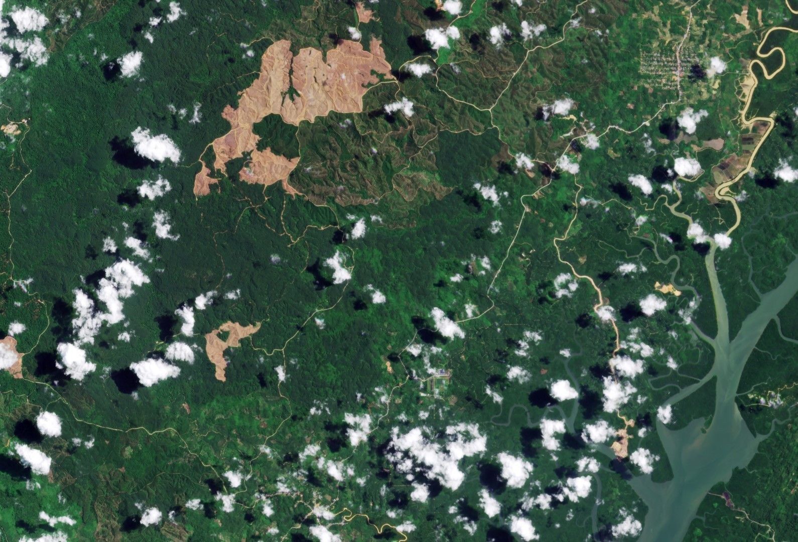 Rainforest clearing in Indonesia, with roads and an estuary