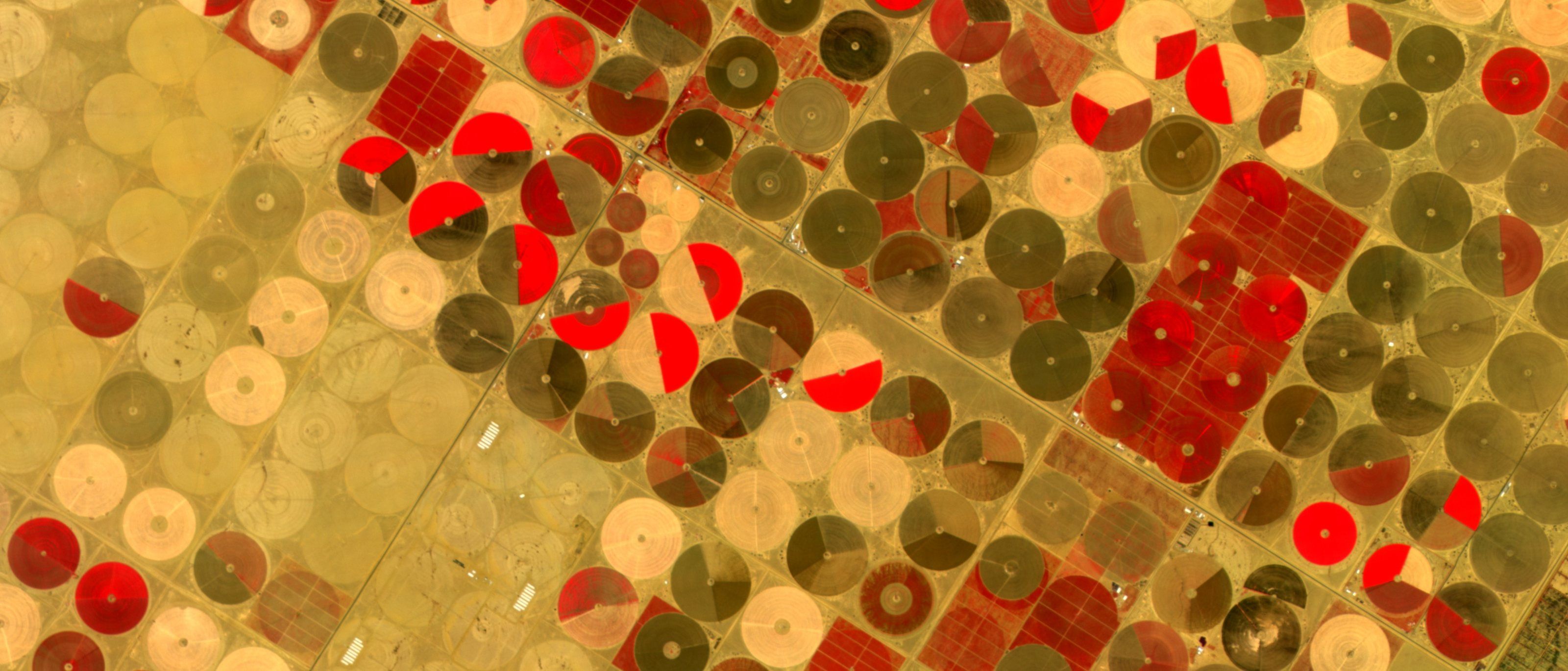 Centre-pivot fields, near-infrared false colour